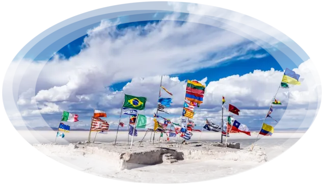 YOUR WEBSITE IN MORE THAN 80 LANGUAGES